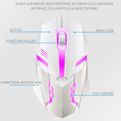 RGB Gaming Keyboard and Mouse Combo | 104-Key Wired Set